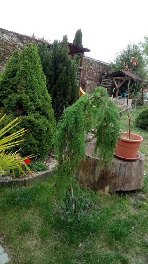 Penzion U Formana Stráž nad Nežárkou 외부 사진